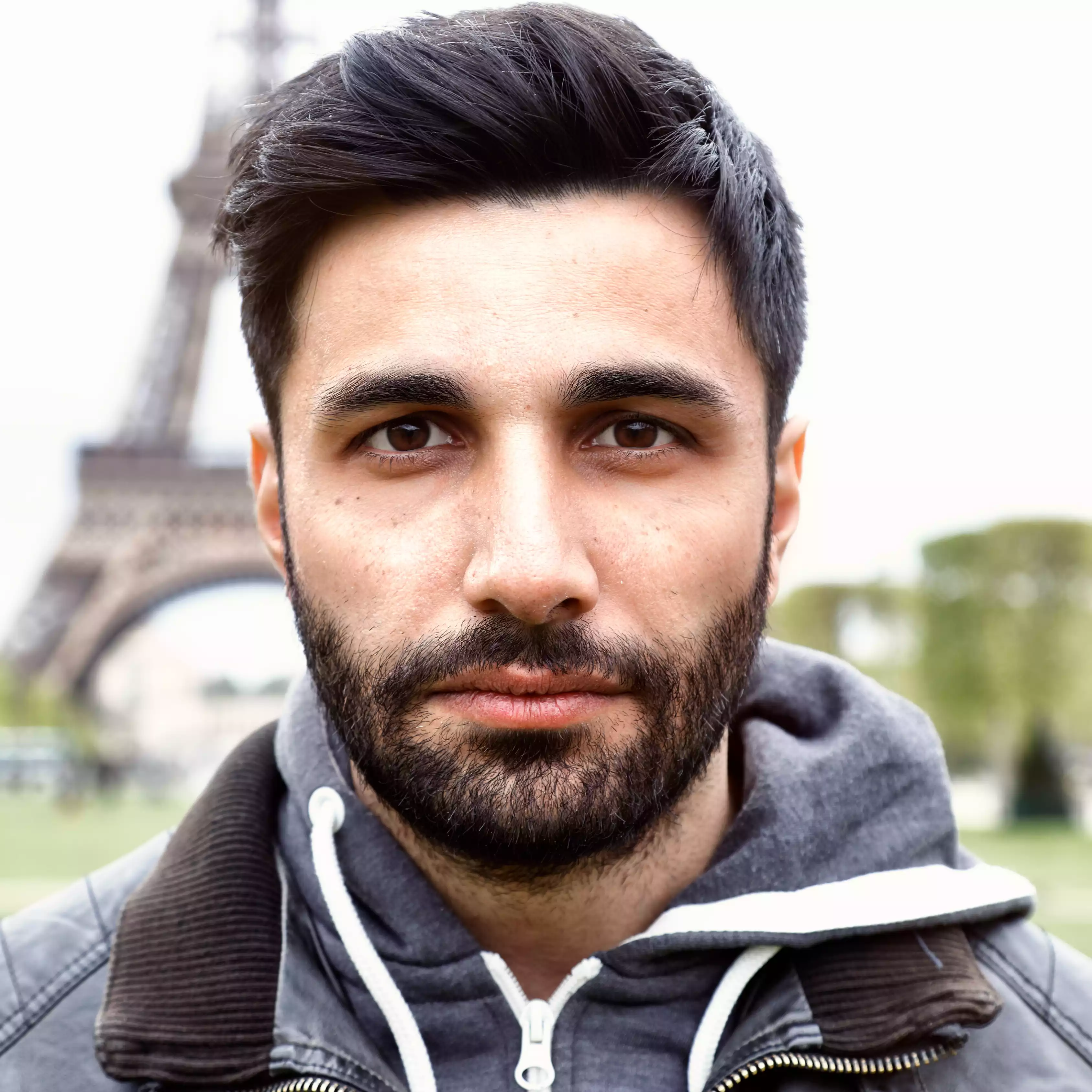 The Brain Song Supplements